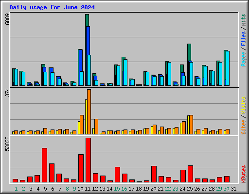 Daily usage for June 2024