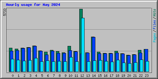 Hourly usage for May 2024