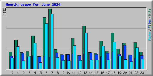 Hourly usage for June 2024