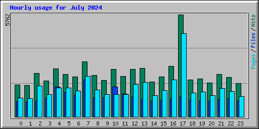 Hourly usage for July 2024