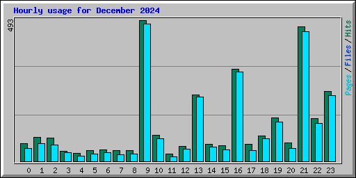 Hourly usage for December 2024